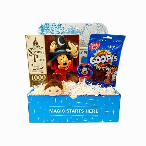 Disney Subscription Box