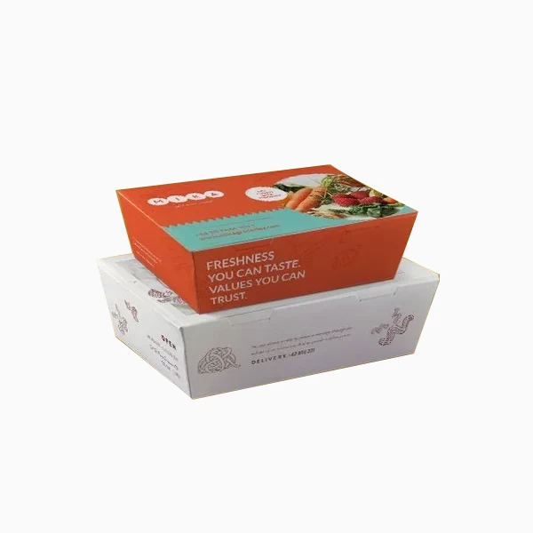 Disposable Bento Boxes