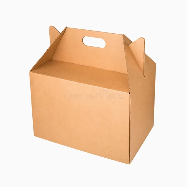 Kraft Corrugated Boxes