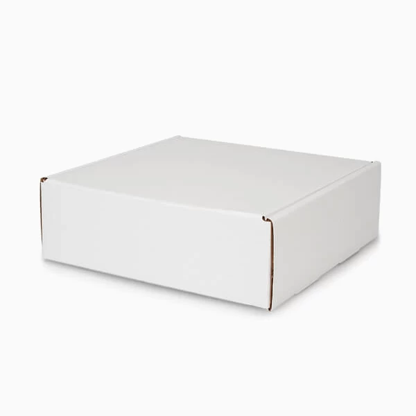 White Kraft Boxes