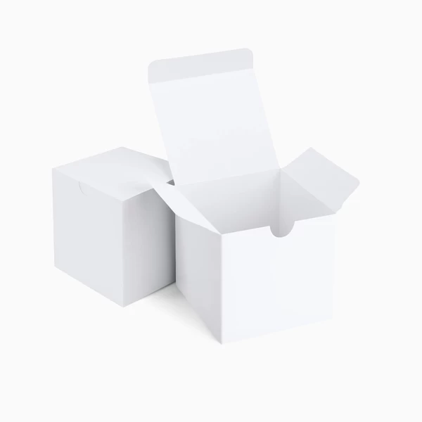White Kraft Boxes