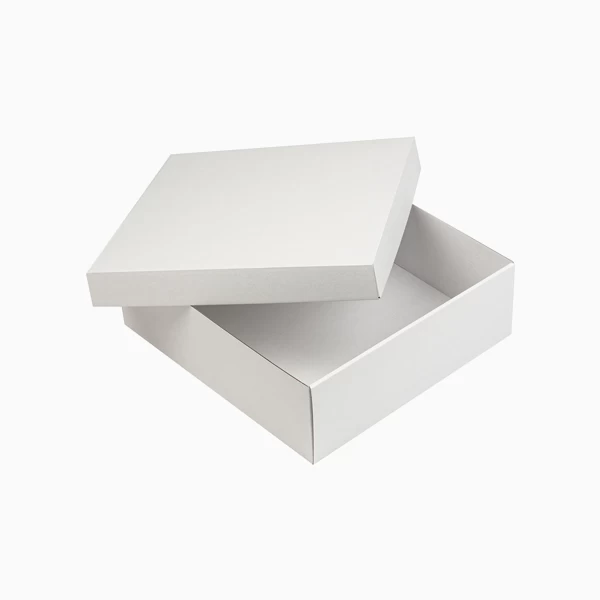 White Kraft Boxes