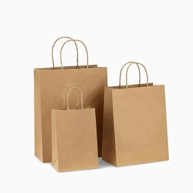 Custom Kraft Paper Bags