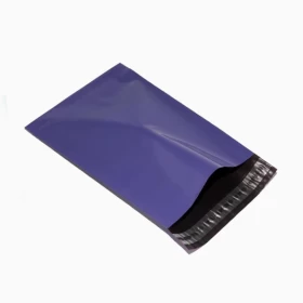 Mylar Envelopes