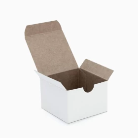 White Kraft Boxes